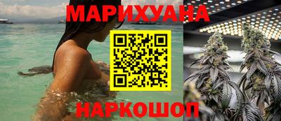 крисы Будённовск